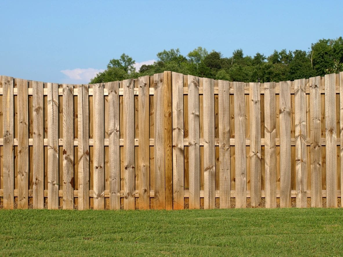 Wooden privacy fence with grass and trees