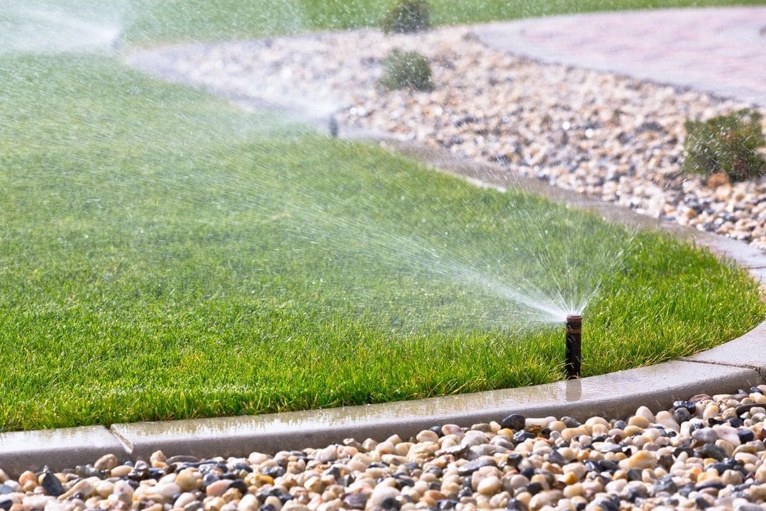 Sprinkler watering suburban lawn with decorative rocks