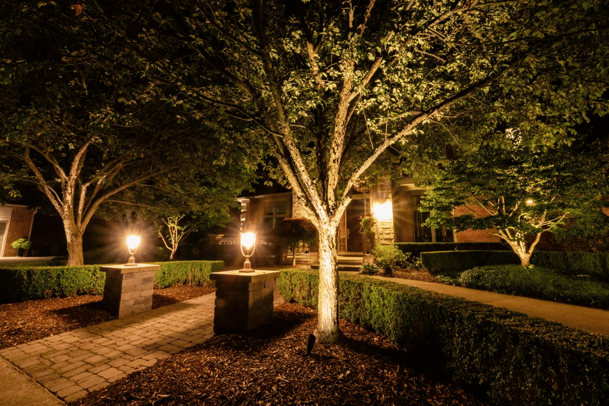 Illuminated front yard pathway with lit trees